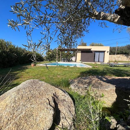 Villa Calisti Belgodère Exterior foto