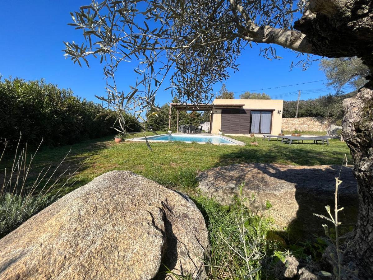 Villa Calisti Belgodère Exterior foto